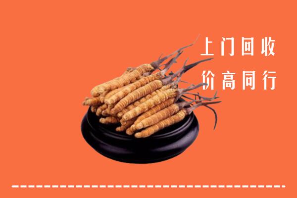高价求购：德钦县回收散虫草