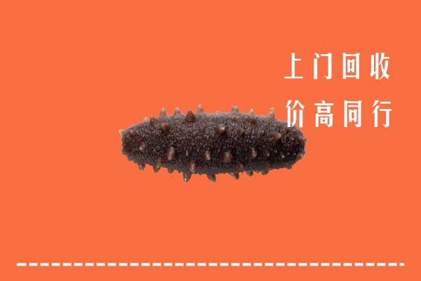 高价求购：德钦县回收海参
