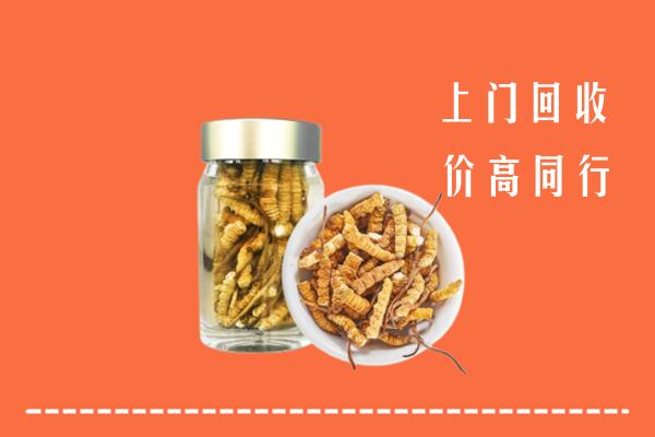 德钦县回收冬虫夏草
