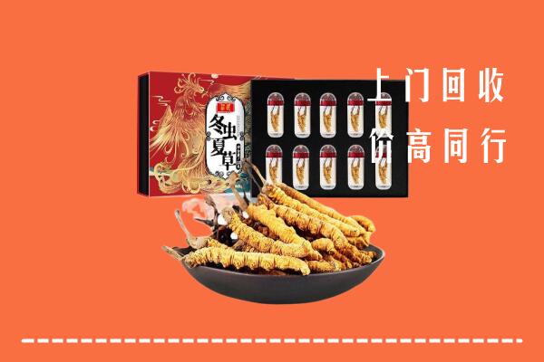 德钦县回收虫草